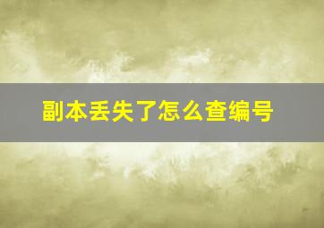 副本丢失了怎么查编号