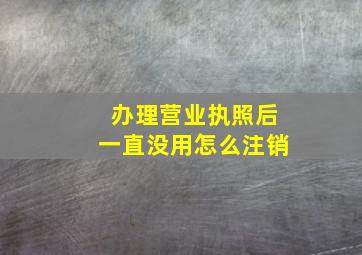 办理营业执照后一直没用怎么注销