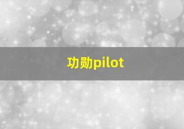 功勋pilot