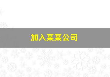 加入某某公司