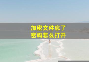 加密文件忘了密码怎么打开