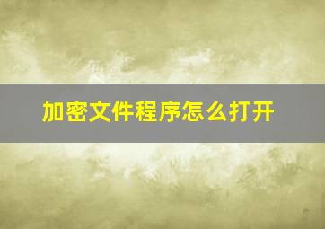 加密文件程序怎么打开