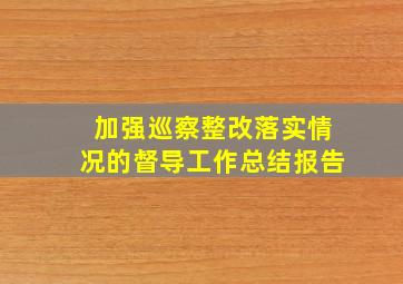 加强巡察整改落实情况的督导工作总结报告