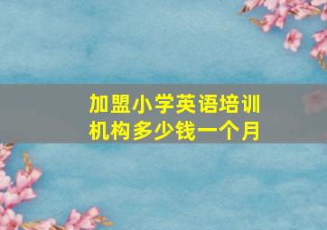 加盟小学英语培训机构多少钱一个月