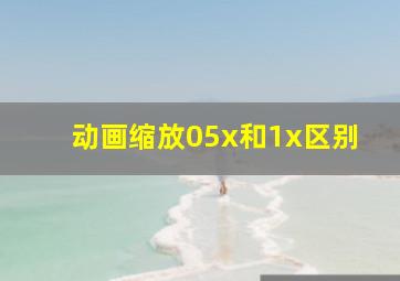 动画缩放05x和1x区别