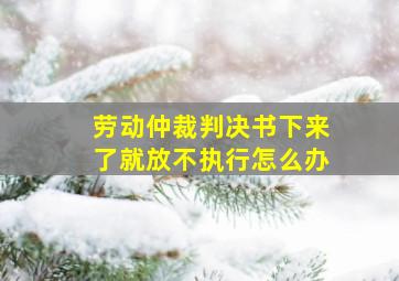 劳动仲裁判决书下来了就放不执行怎么办