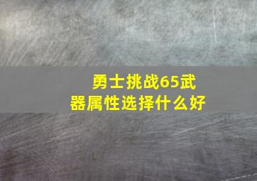 勇士挑战65武器属性选择什么好