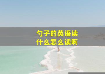 勺子的英语读什么怎么读啊