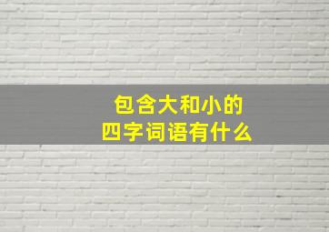 包含大和小的四字词语有什么