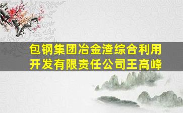 包钢集团冶金渣综合利用开发有限责任公司王高峰