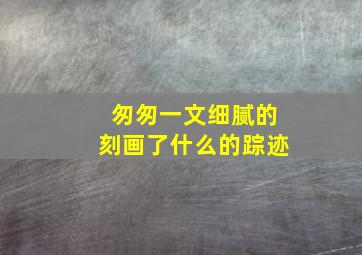 匆匆一文细腻的刻画了什么的踪迹