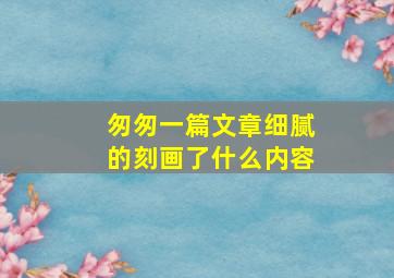 匆匆一篇文章细腻的刻画了什么内容