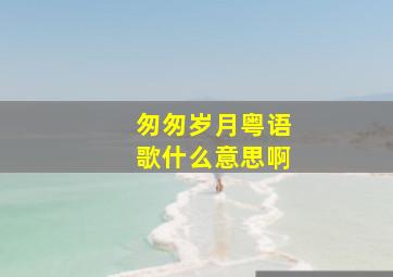 匆匆岁月粤语歌什么意思啊