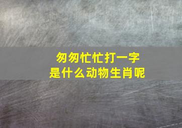 匆匆忙忙打一字是什么动物生肖呢