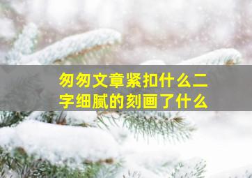 匆匆文章紧扣什么二字细腻的刻画了什么