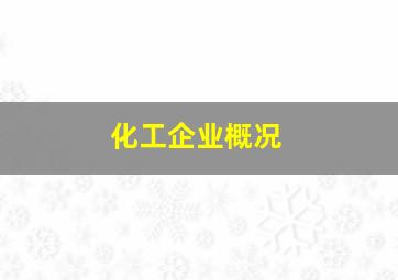 化工企业概况