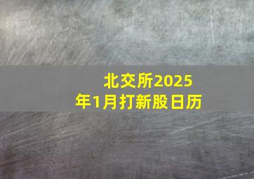 北交所2025年1月打新股日历