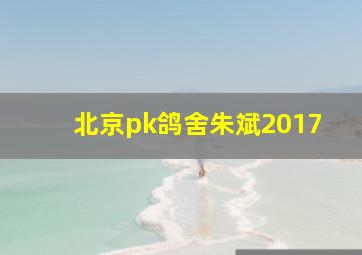 北京pk鸽舍朱斌2017