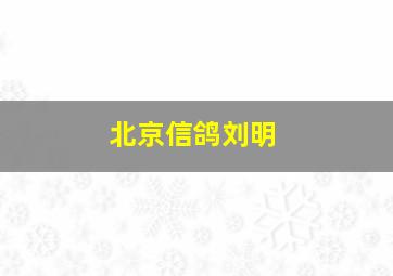 北京信鸽刘明