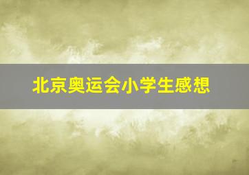 北京奥运会小学生感想