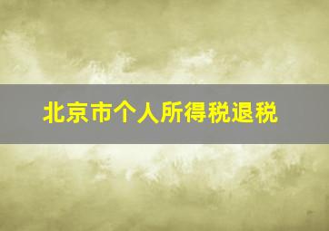 北京市个人所得税退税