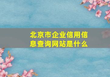 北京市企业信用信息查询网站是什么