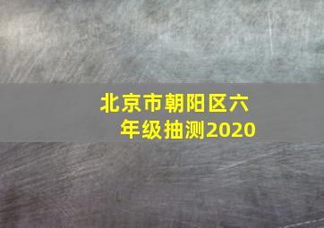 北京市朝阳区六年级抽测2020