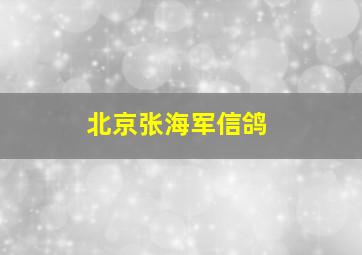 北京张海军信鸽