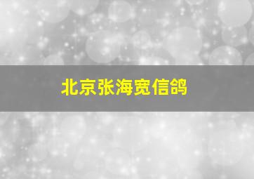 北京张海宽信鸽