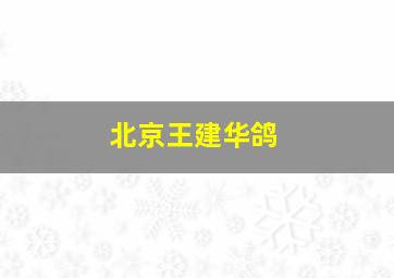 北京王建华鸽