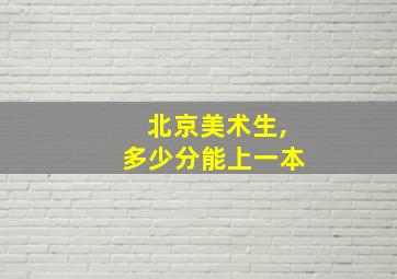 北京美术生,多少分能上一本