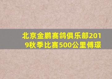 北京金鹏赛鸽俱乐部2019秋季比赛500公里傅璟