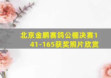 北京金鹏赛鸽公棚决赛141-165获奖照片欣赏