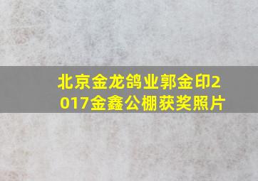 北京金龙鸽业郭金印2017金鑫公棚获奖照片