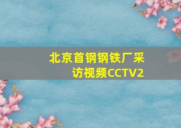 北京首钢钢铁厂采访视频CCTV2