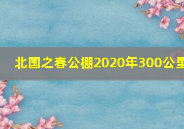 北国之春公棚2020年300公里