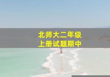 北师大二年级上册试题期中