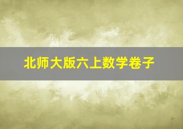 北师大版六上数学卷子