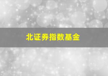 北证券指数基金