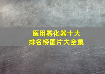 医用雾化器十大排名榜图片大全集