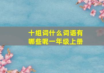 十组词什么词语有哪些呢一年级上册