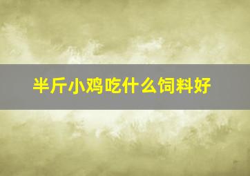 半斤小鸡吃什么饲料好