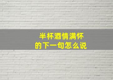 半杯酒情满怀的下一句怎么说