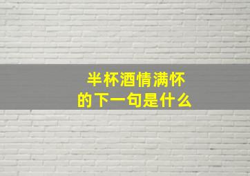 半杯酒情满怀的下一句是什么