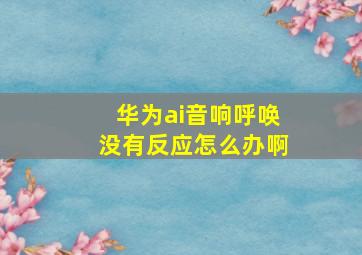 华为ai音响呼唤没有反应怎么办啊