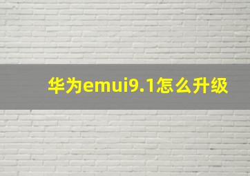 华为emui9.1怎么升级