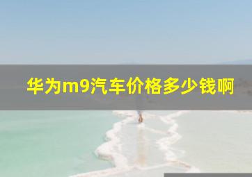 华为m9汽车价格多少钱啊