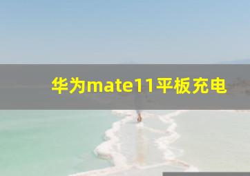 华为mate11平板充电