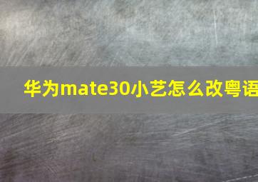 华为mate30小艺怎么改粤语