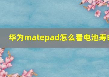 华为matepad怎么看电池寿命